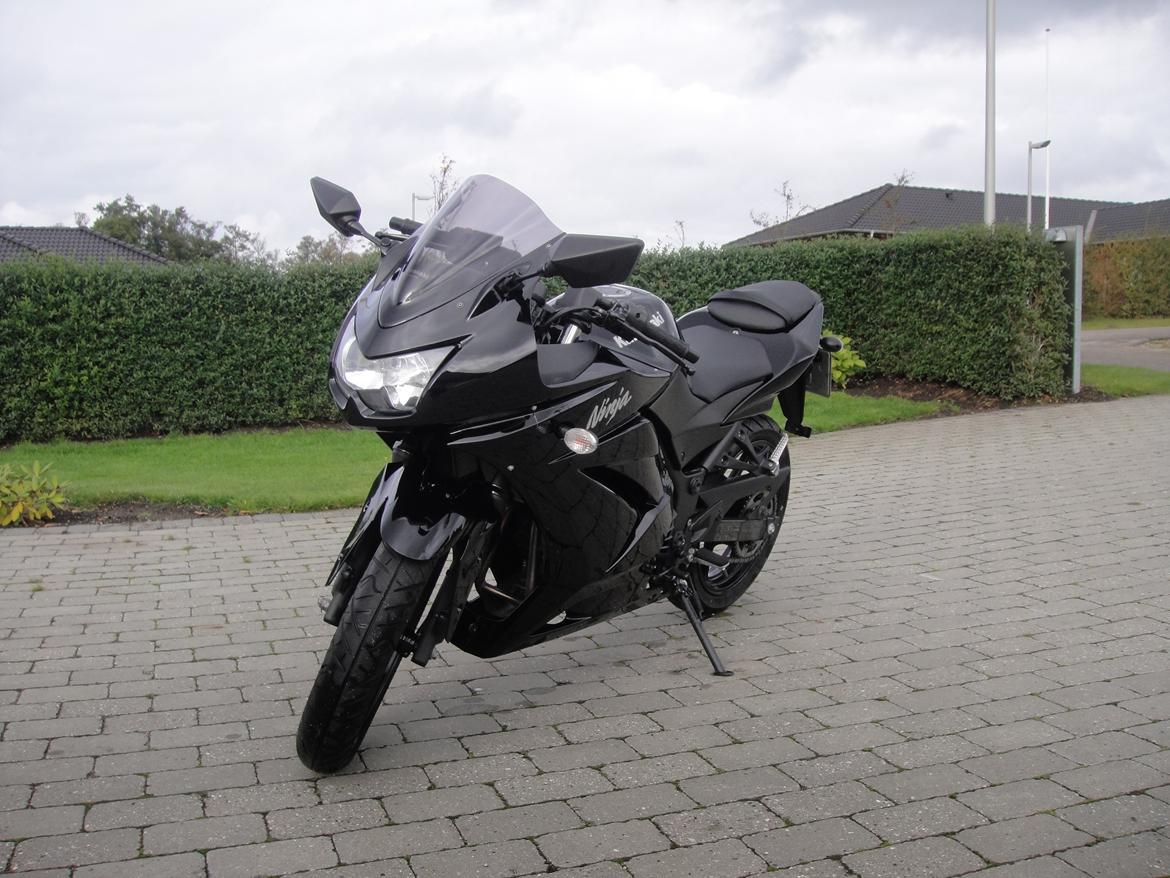 Kawasaki Ninja 250R billede 2