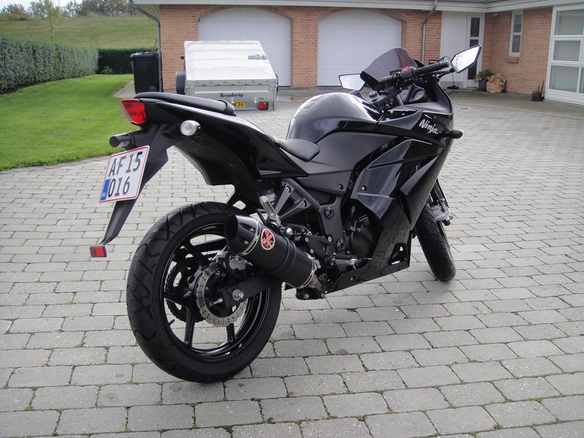 Kawasaki Ninja 250R billede 6