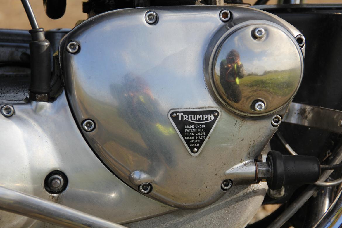 Triumph T100R Daytona 'Geden' billede 6