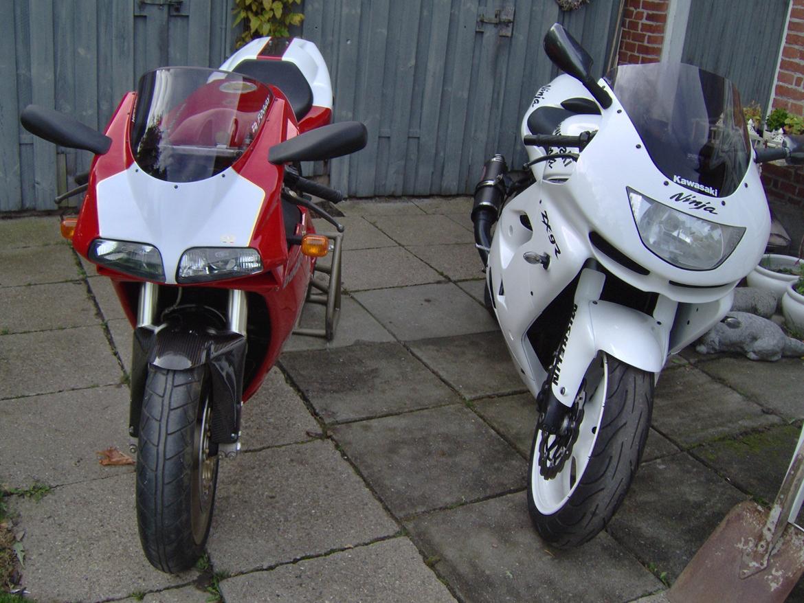 Ducati 916  SPS  (nr 0010 billede 3