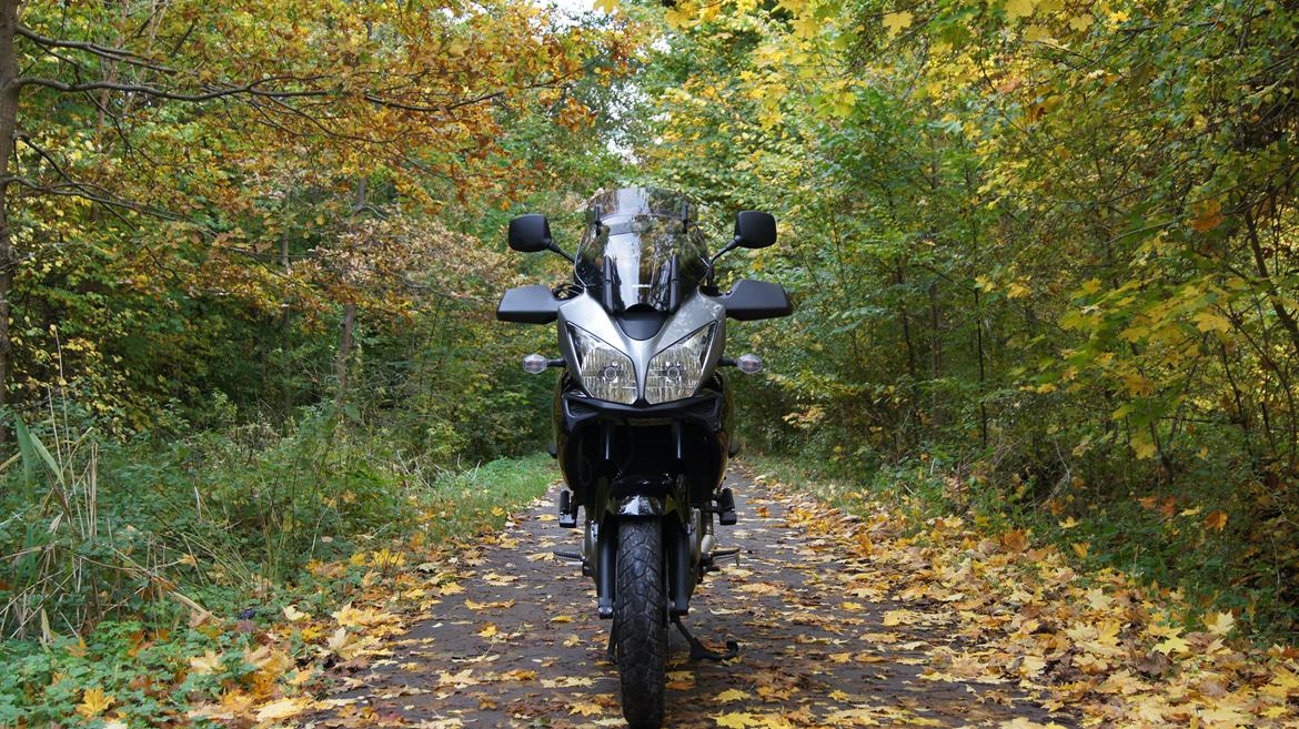 Suzuki DL 1000 V-Strom (Solgt) billede 5