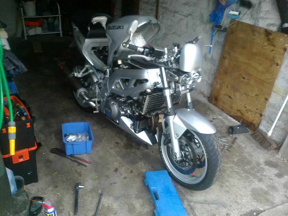 Suzuki Sv1000 billede 4