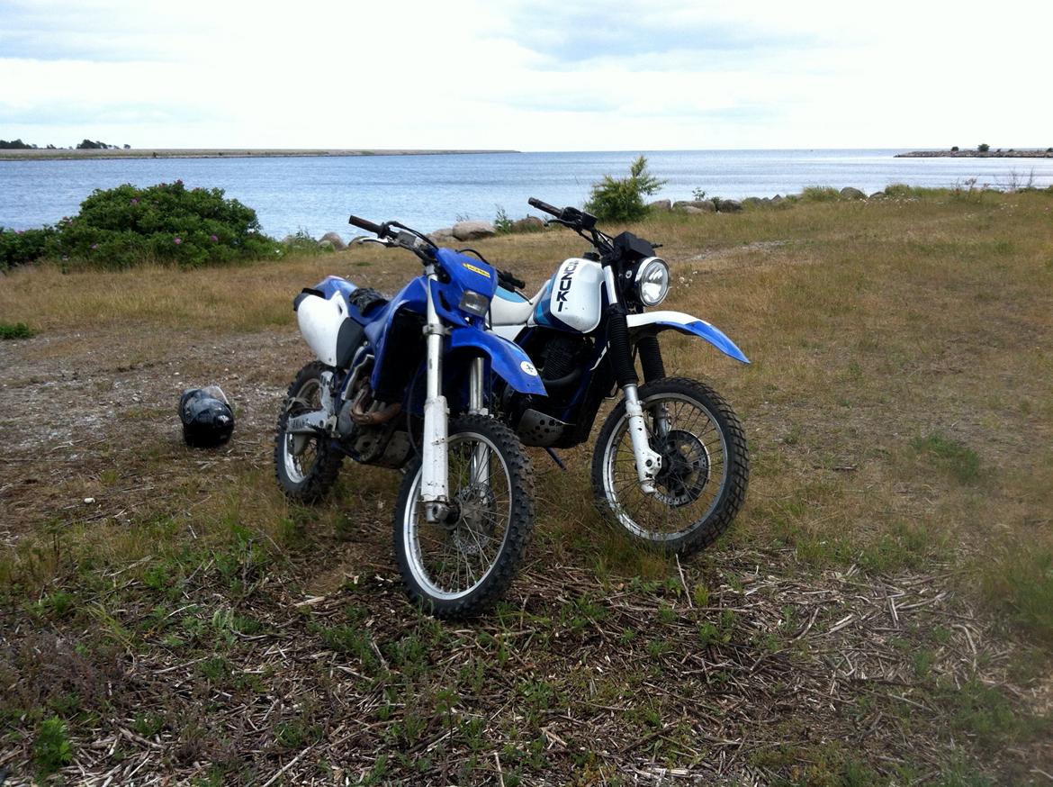 Yamaha Wr 400 F billede 5