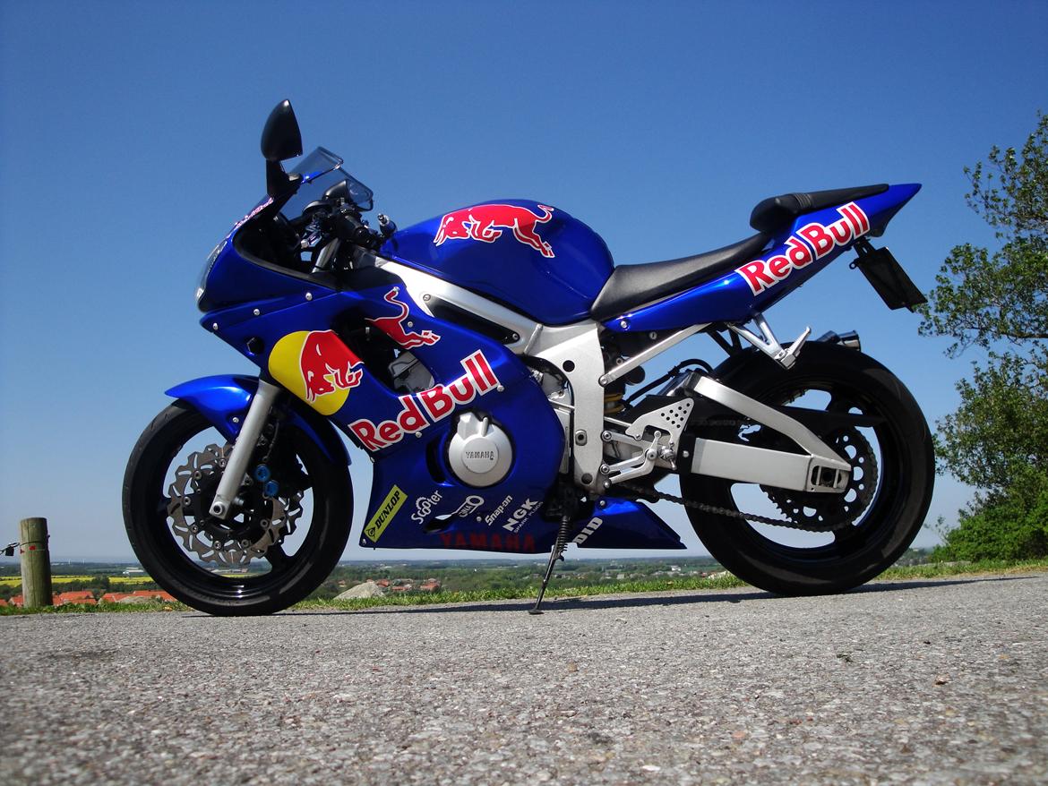 Yamaha yzf r6 redbull billede 2