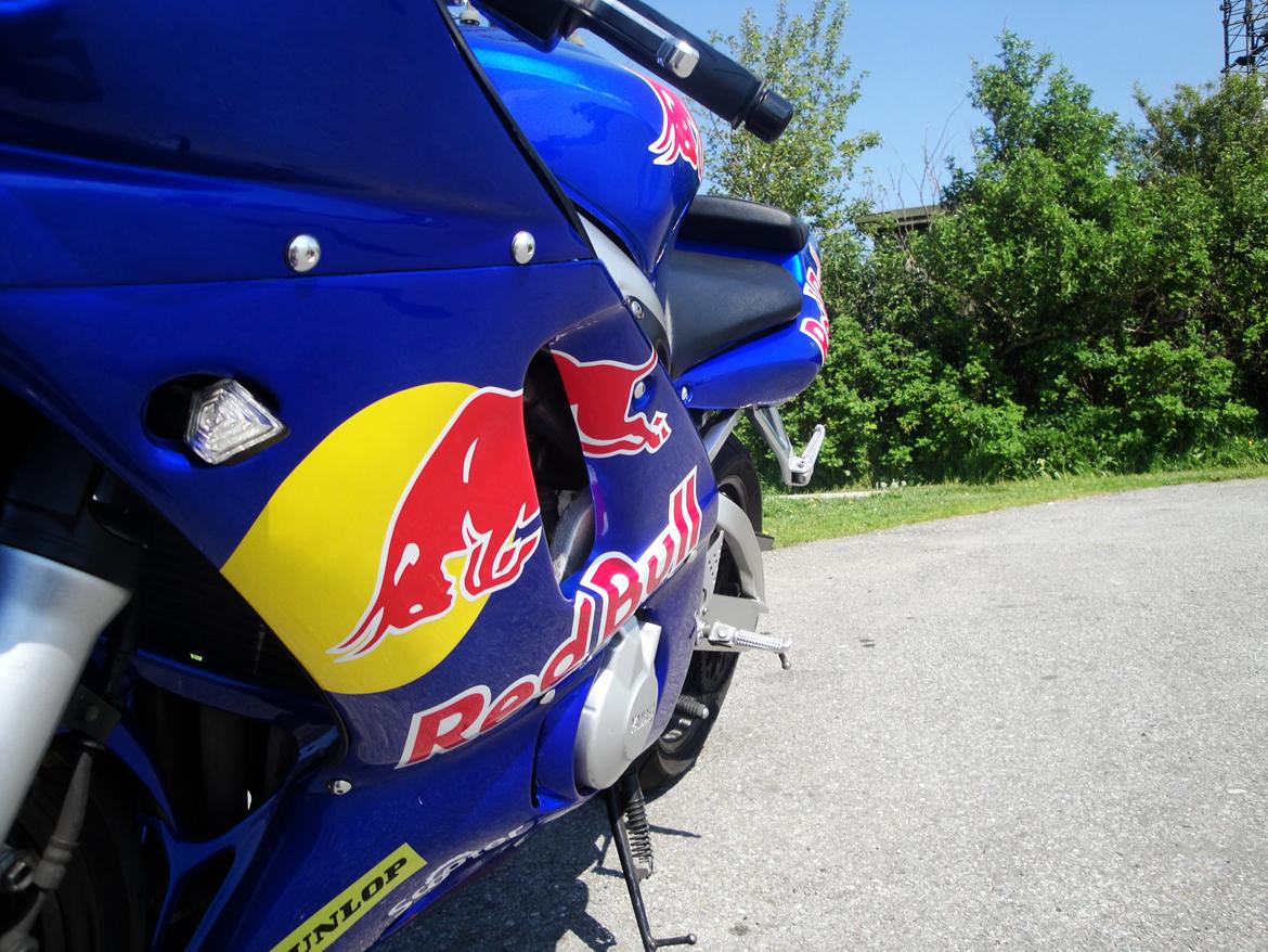 Yamaha yzf r6 redbull billede 3