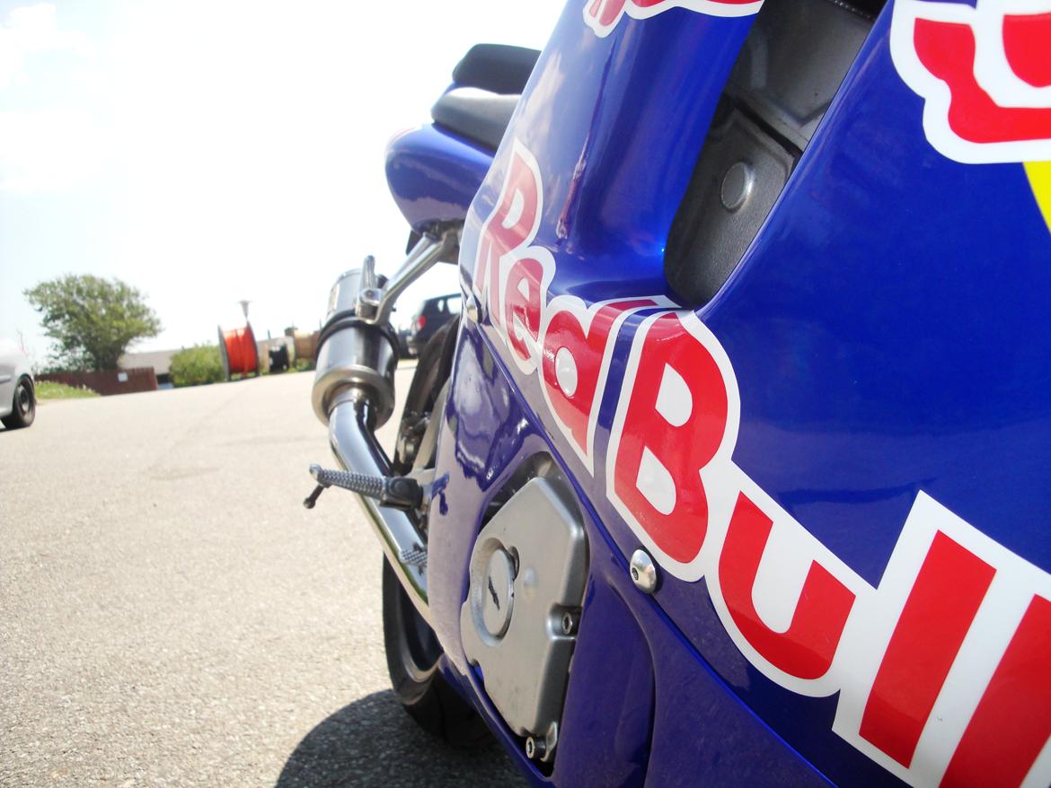 Yamaha yzf r6 redbull billede 4