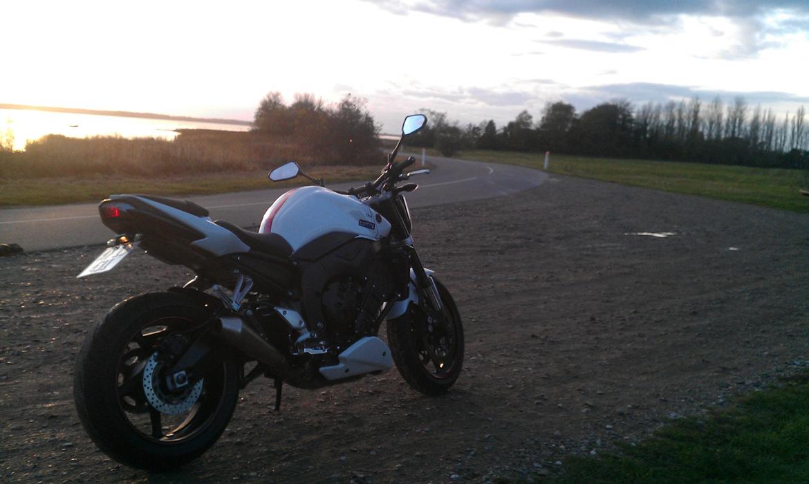 Yamaha FZ1N (Solgt) billede 11