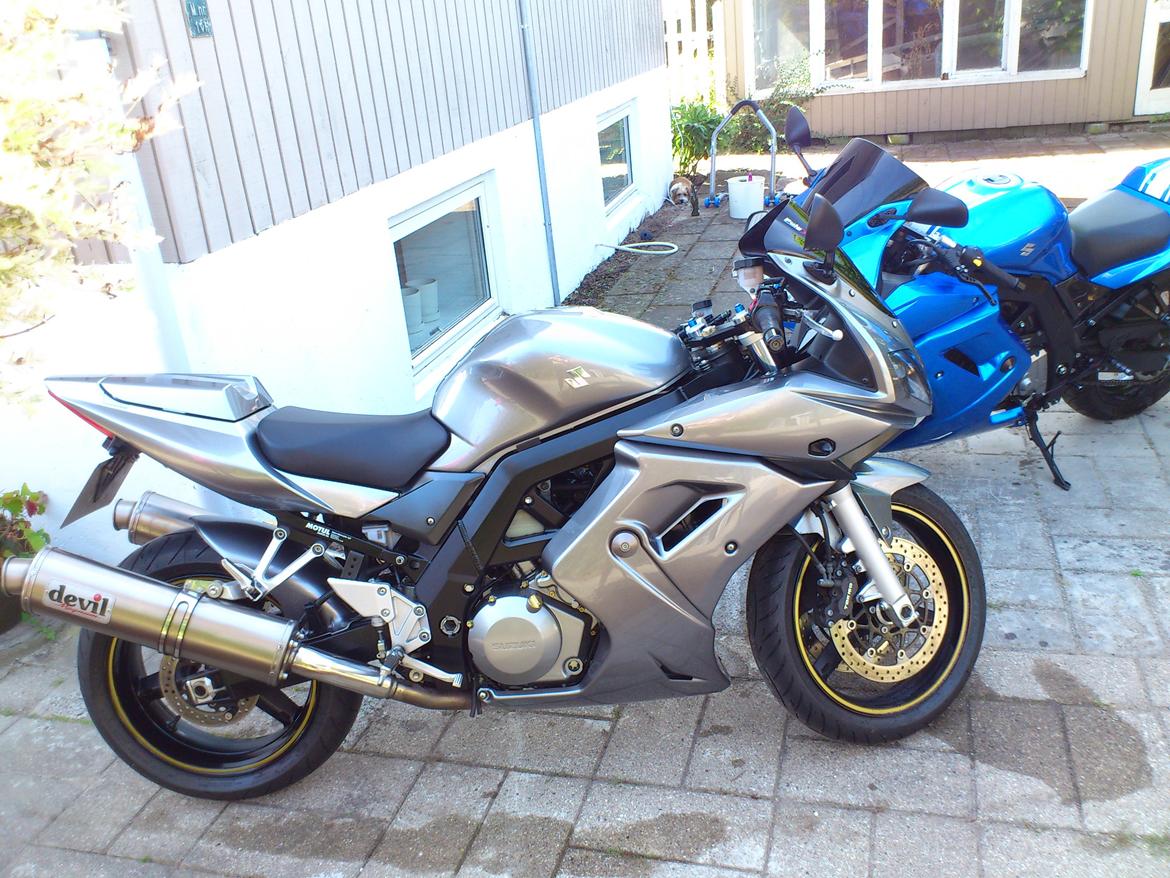 Suzuki SV1000S [solgt] billede 12