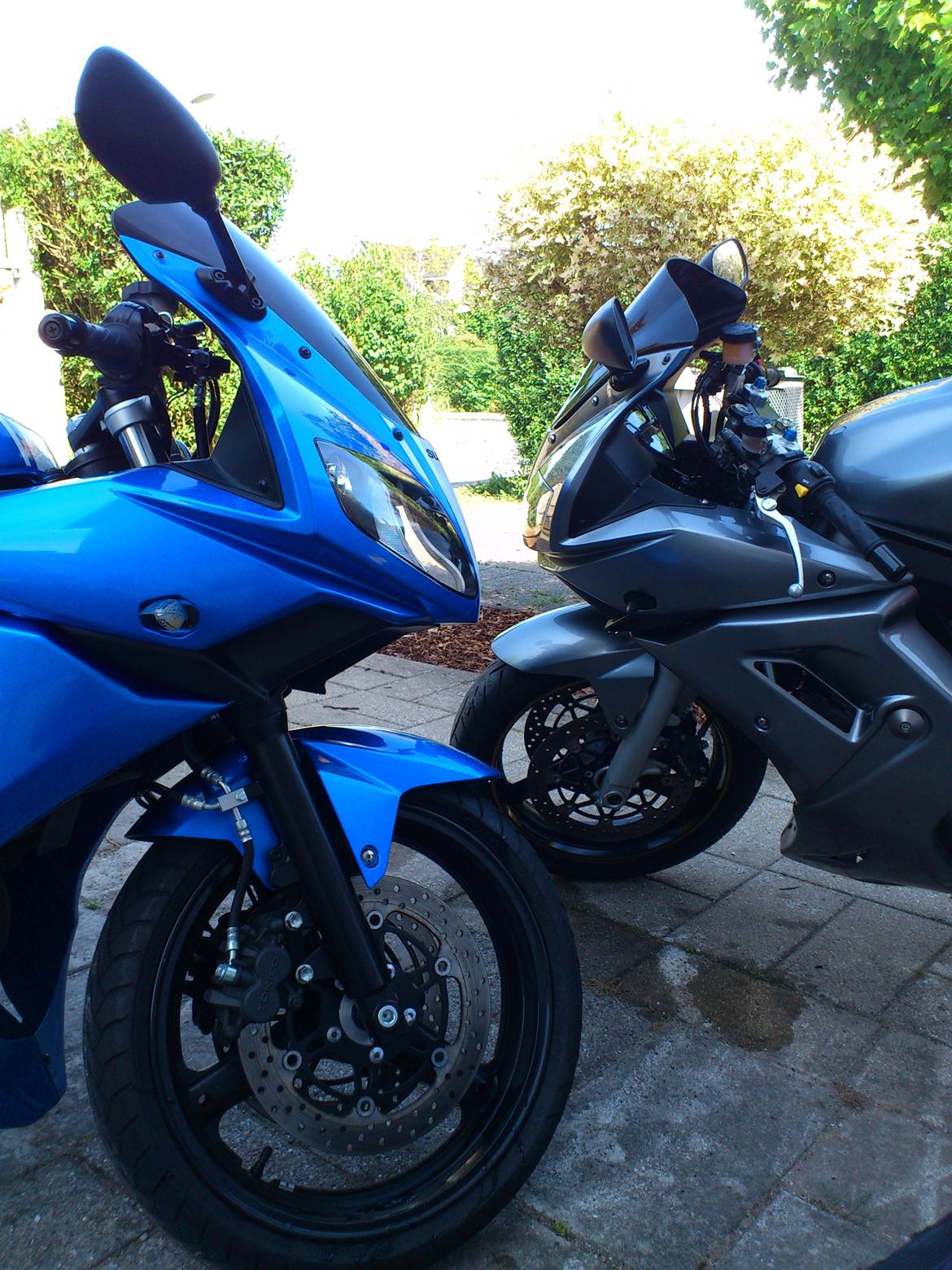 Suzuki SV1000S [solgt] billede 13