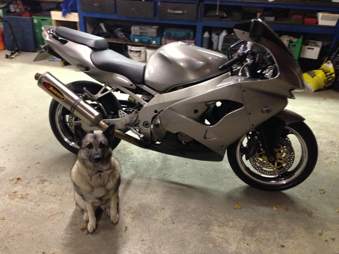 Kawasaki ZX9-R billede 2