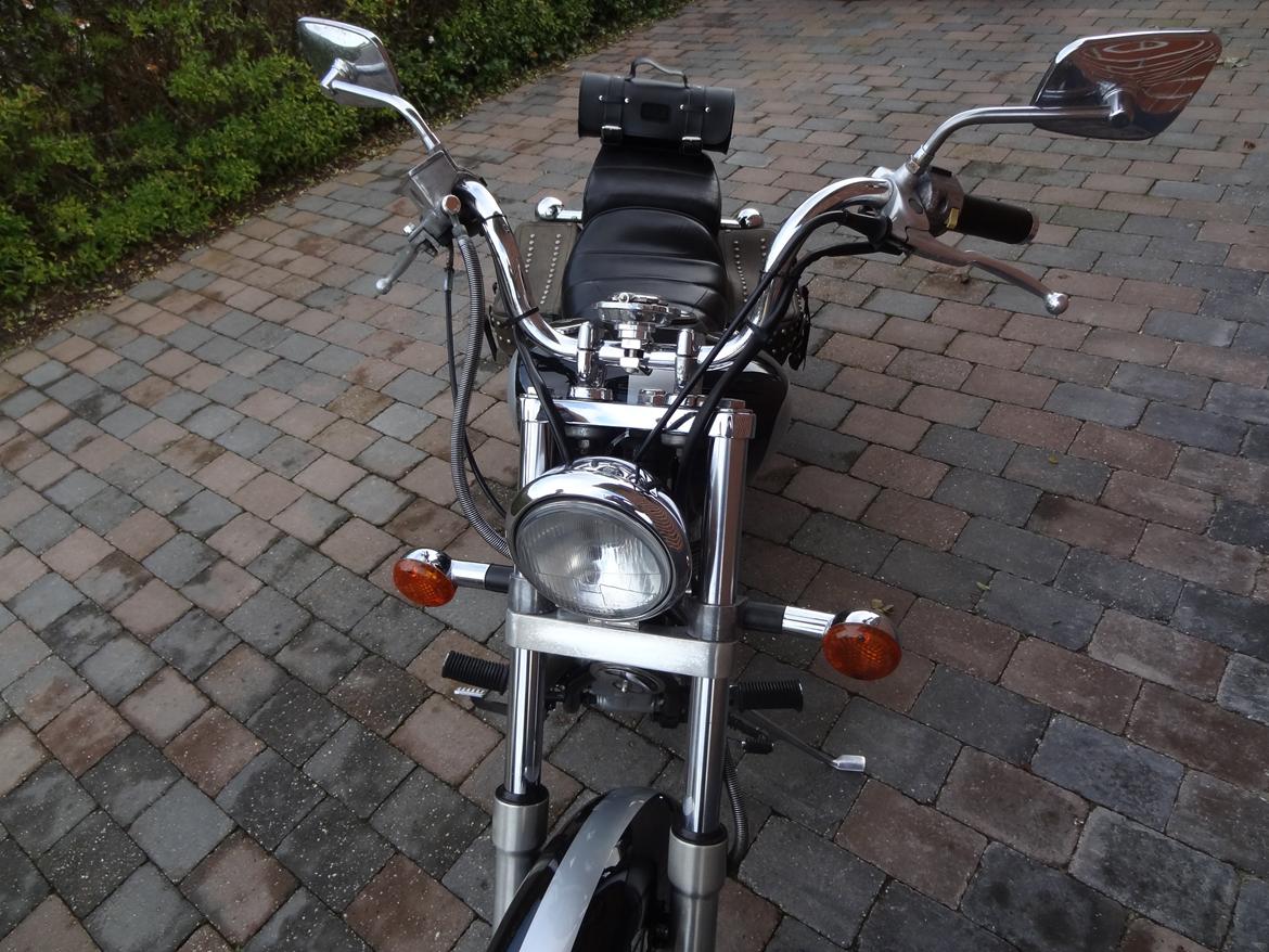 Suzuki LS 650 Savage billede 3