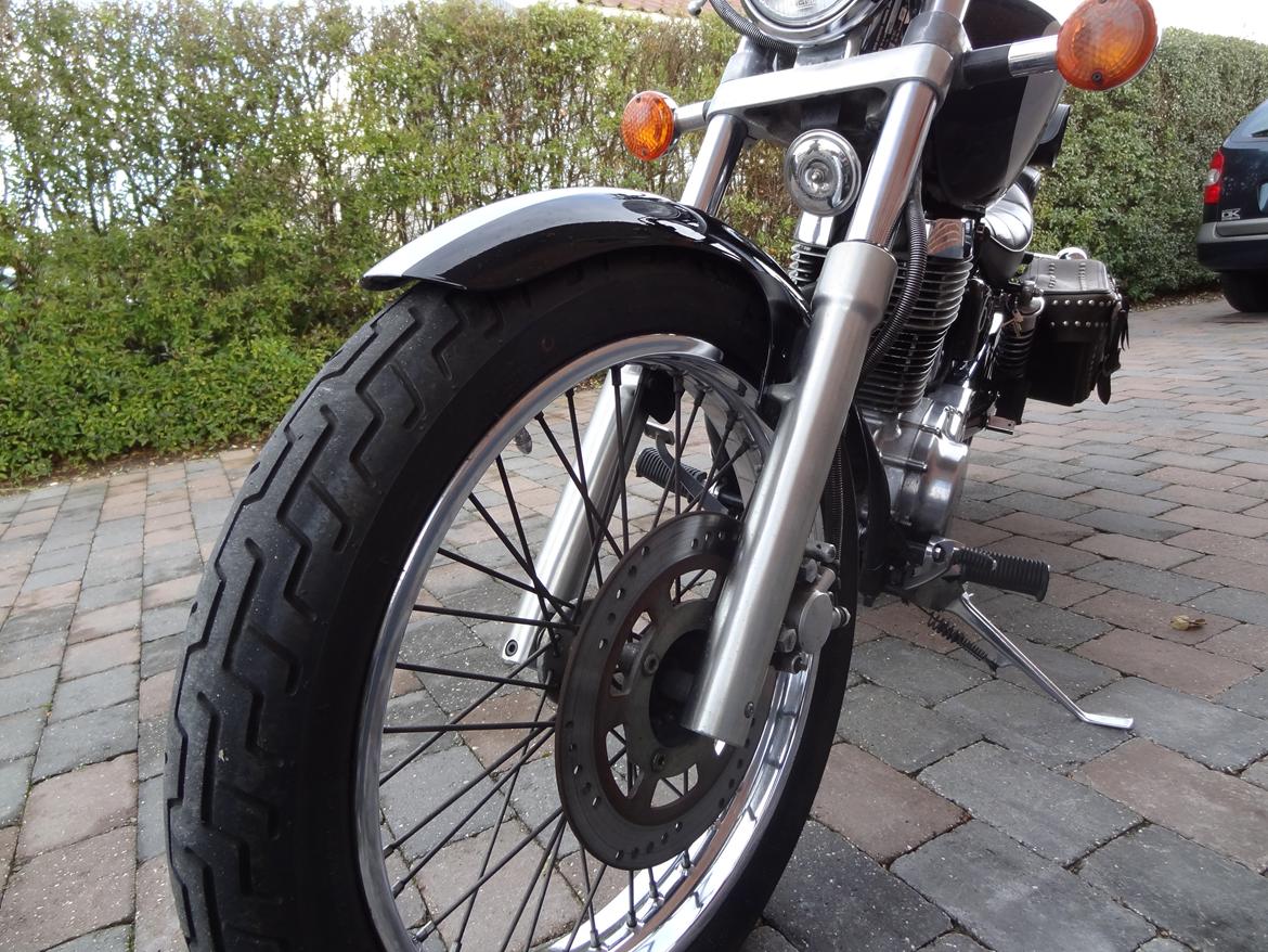 Suzuki LS 650 Savage billede 4