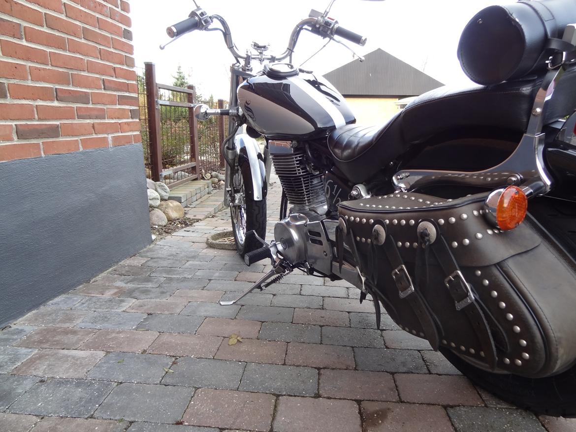 Suzuki LS 650 Savage billede 5