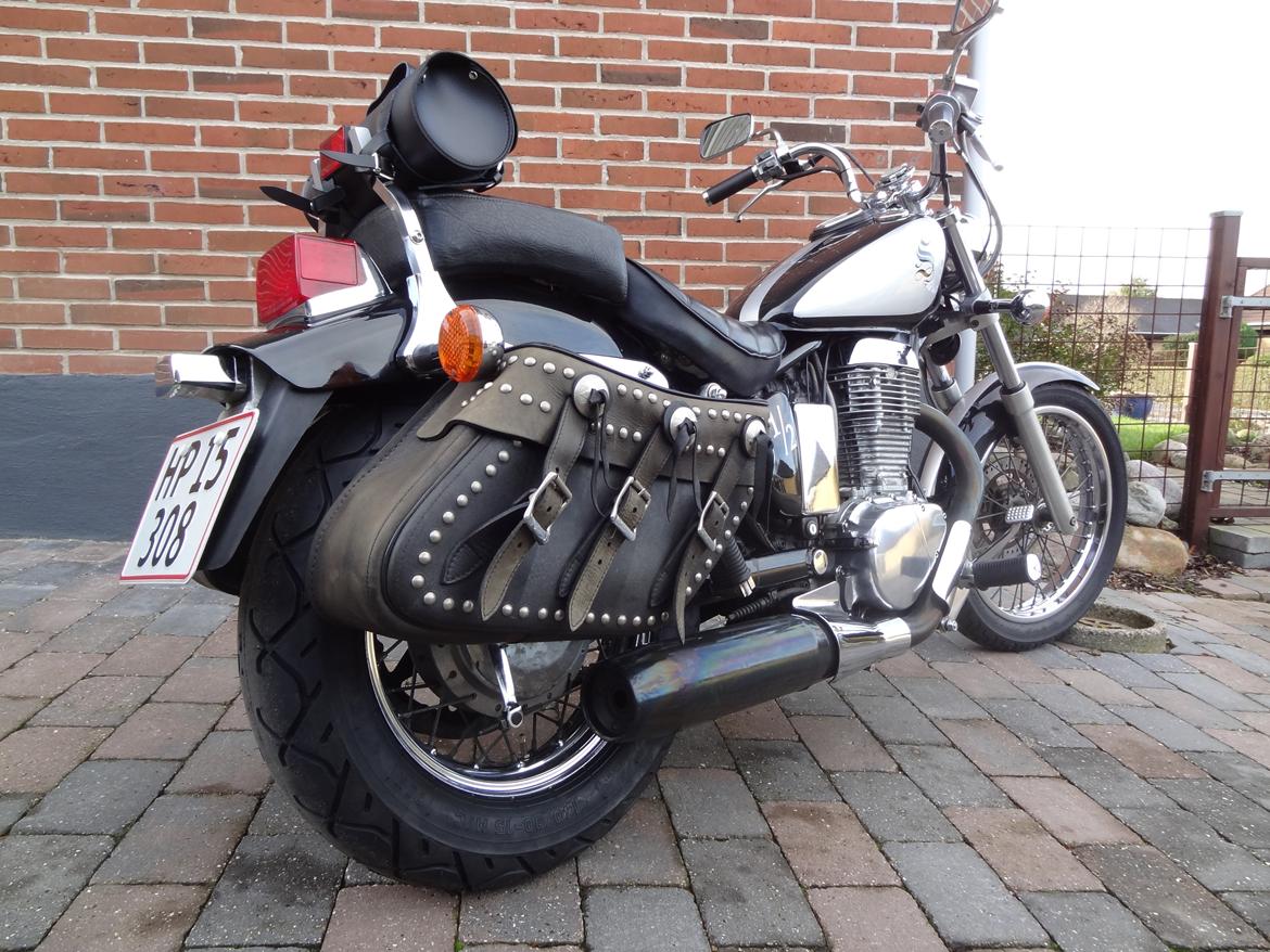 Suzuki LS 650 Savage billede 7