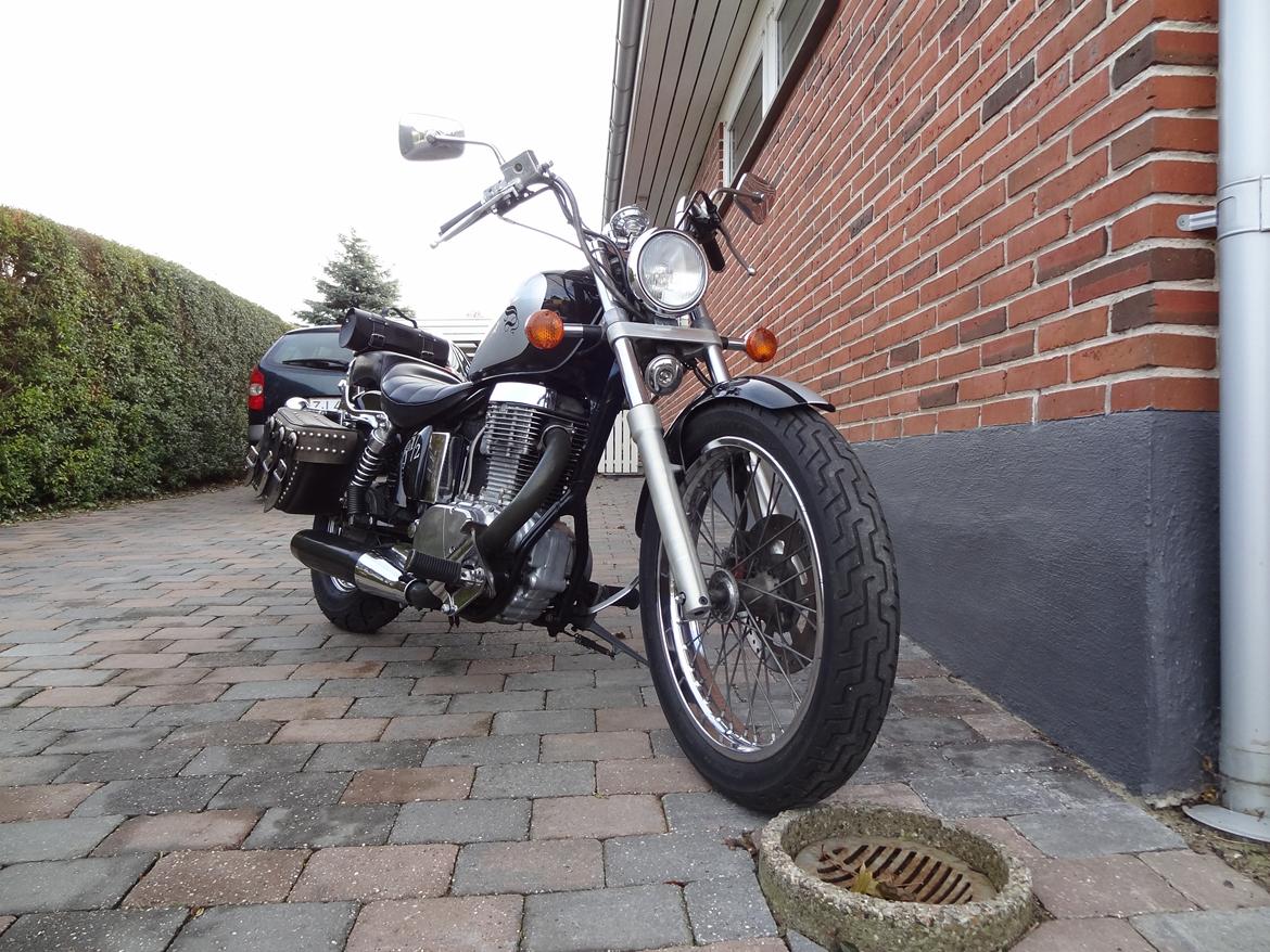 Suzuki LS 650 Savage billede 8