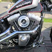 Harley Davidson Softail