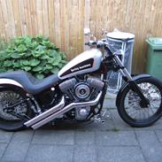 Harley Davidson Softail