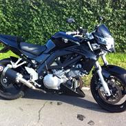 Suzuki SV1000N