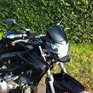 Suzuki SV1000N