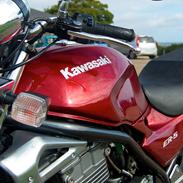 Kawasaki ER-5