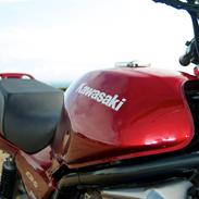Kawasaki ER-5