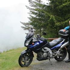 Suzuki DL 1000 V -Strom