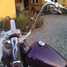 Harley Davidson Sportster