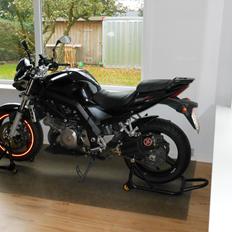 Suzuki SV 1000NK7