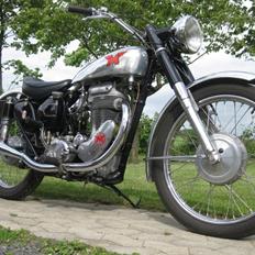 Matchless G80CS "Competition Scrambler"