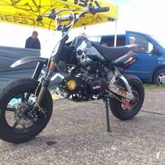 Lifan Pitstar 140 Px 11 - Crf 50