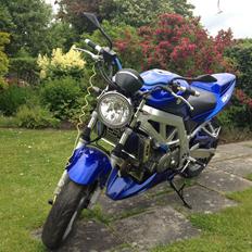 Suzuki sv 650 naked (tidligere maskine)