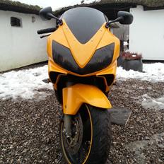 Honda CBR 600 F4i Sport