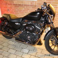 Harley Davidson Sportster XL883N IRON