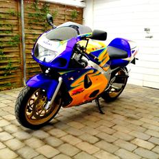 Suzuki Gsx-R 600 Corona