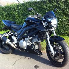 Suzuki SV1000N