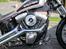 Harley Davidson Softail