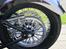 Harley Davidson Softail
