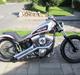 Harley Davidson Softail