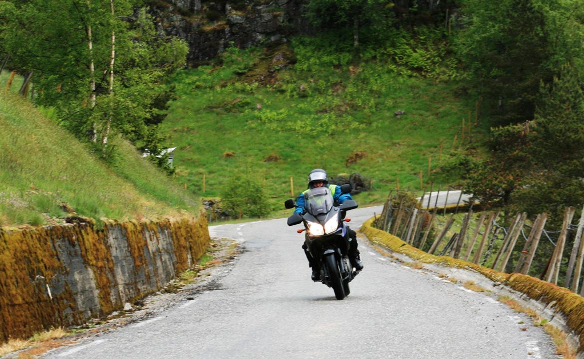 Suzuki DL 1000 V -Strom billede 1