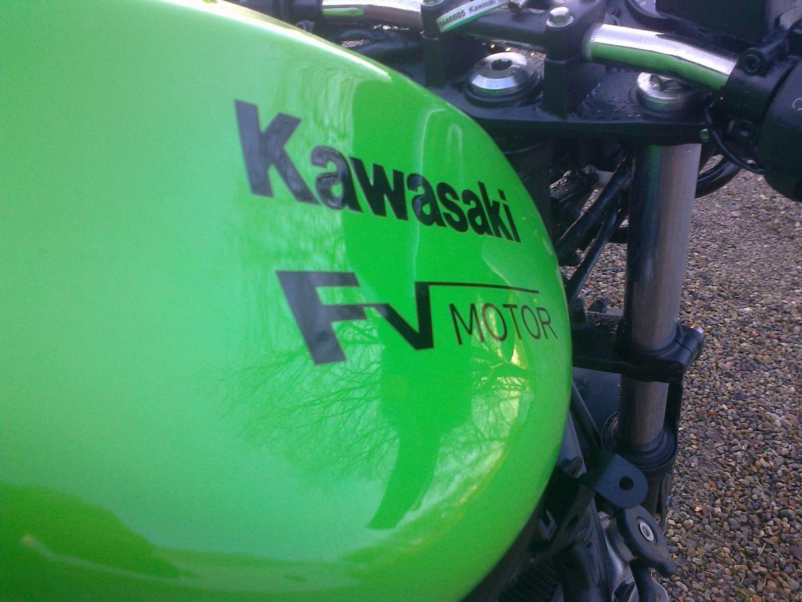 Kawasaki ER-6F billede 11