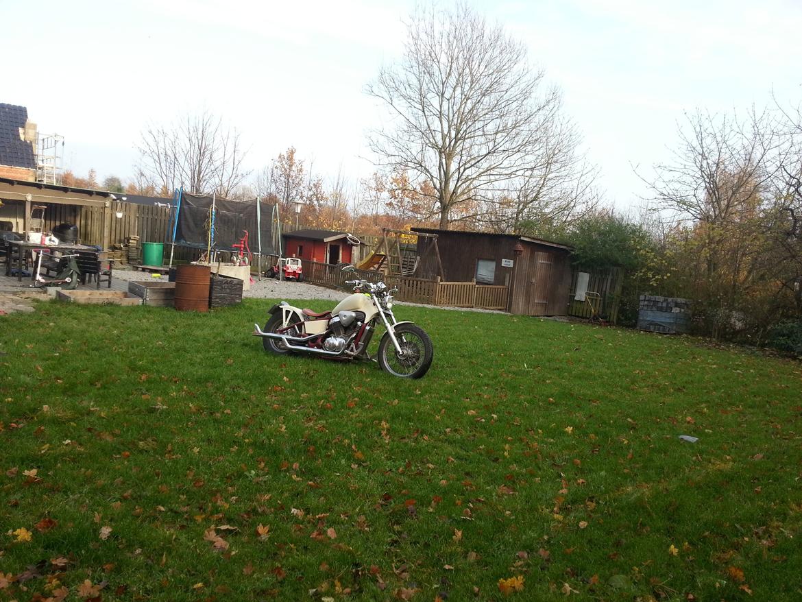 Honda VT600 billede 5