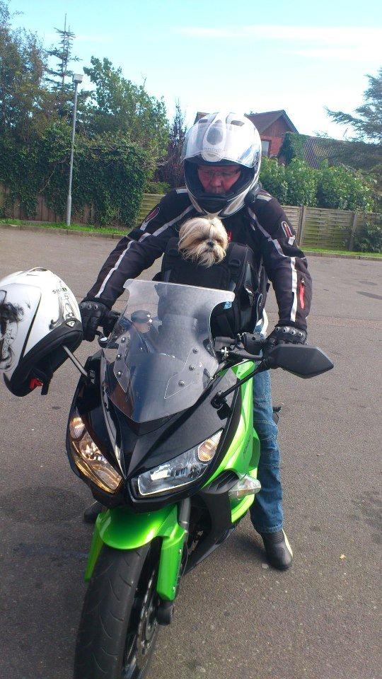 Kawasaki z 1000 sx - Basse og mig på tur  billede 1