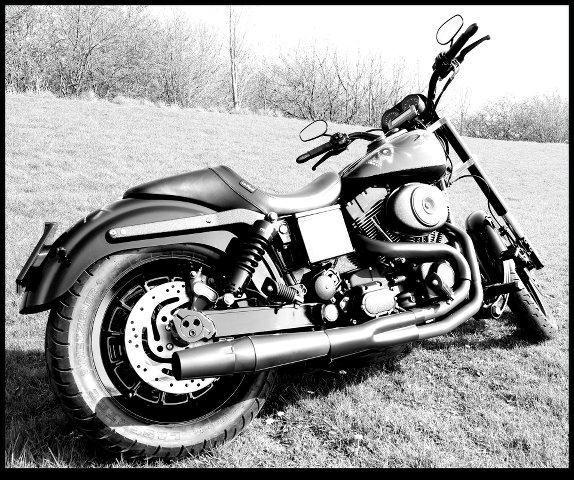 Harley Davidson FXDX Super Glide Sport billede 12