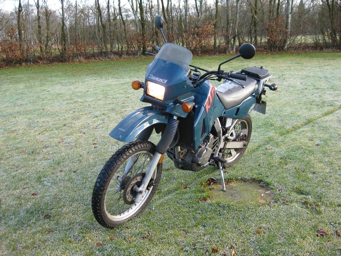 Kawasaki Klr 650 billede 2