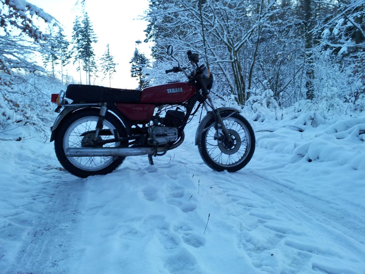 Yamaha RS 125 billede 2