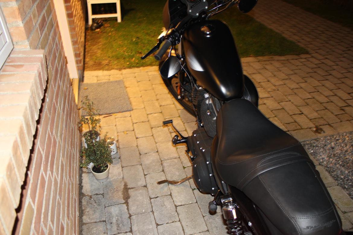 Harley Davidson Sportster XL883N IRON billede 12