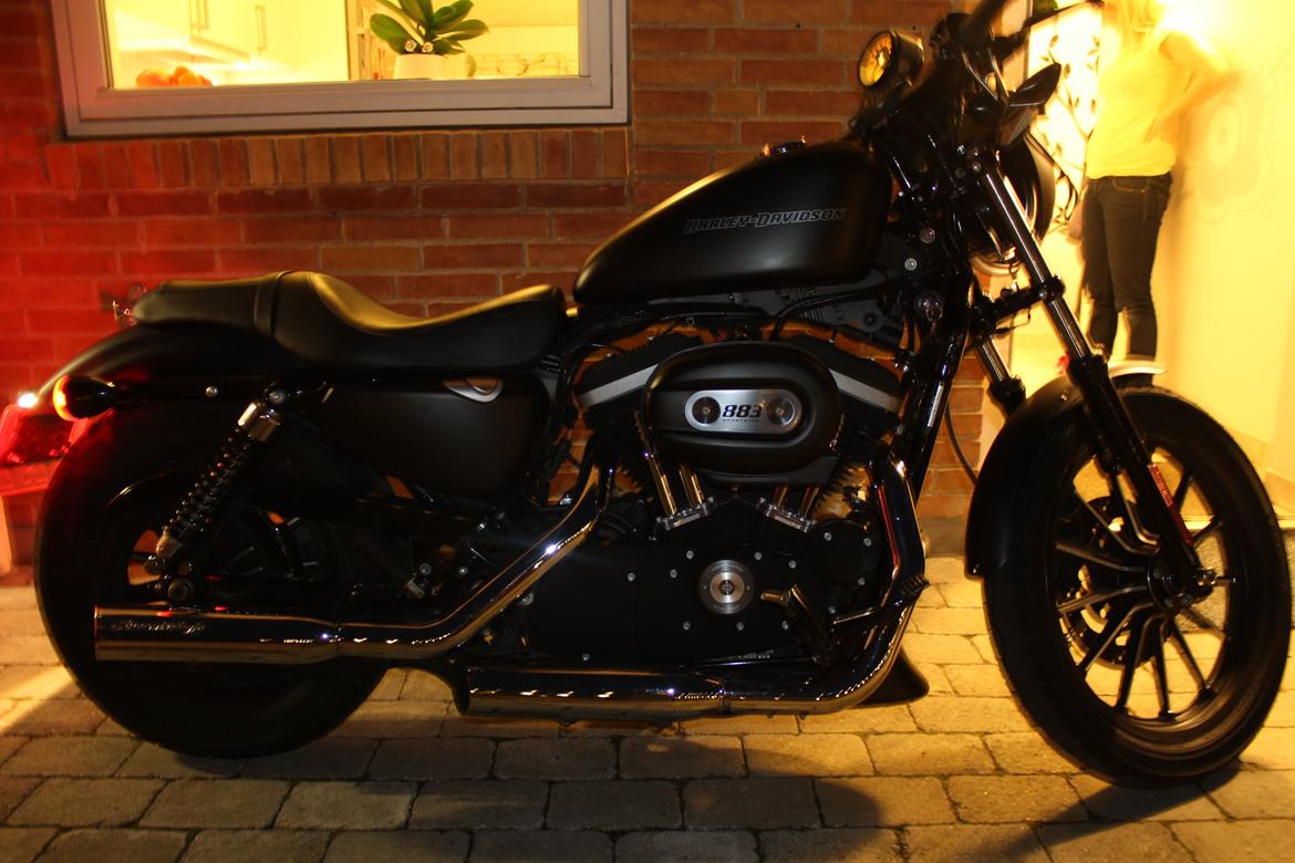 Harley Davidson Sportster XL883N IRON billede 13