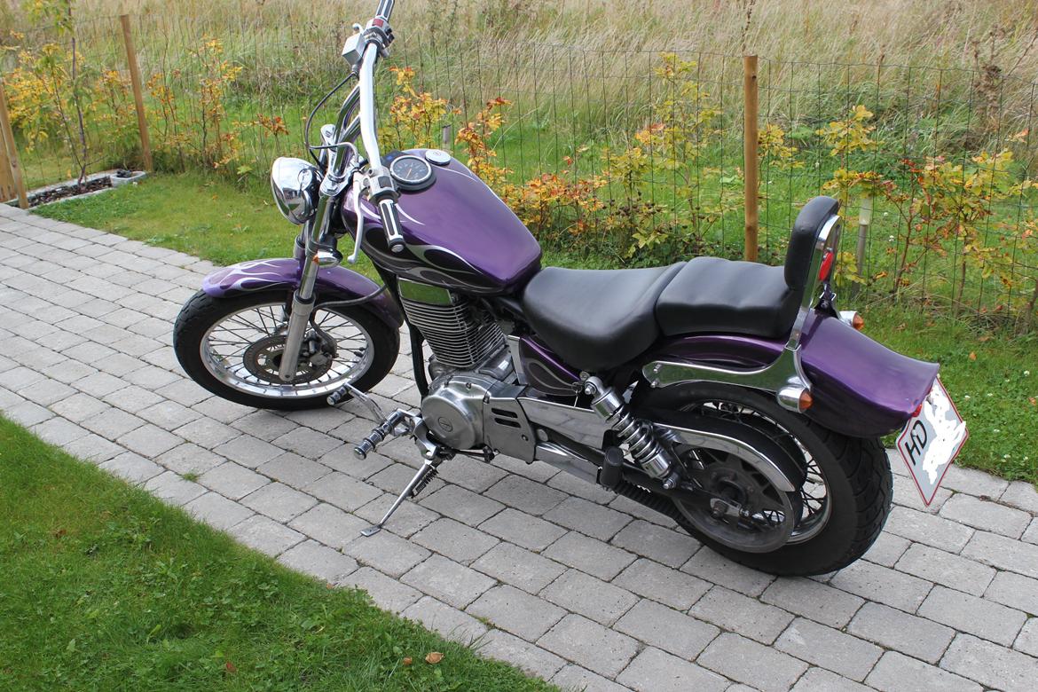 Suzuki LS650 savage billede 2