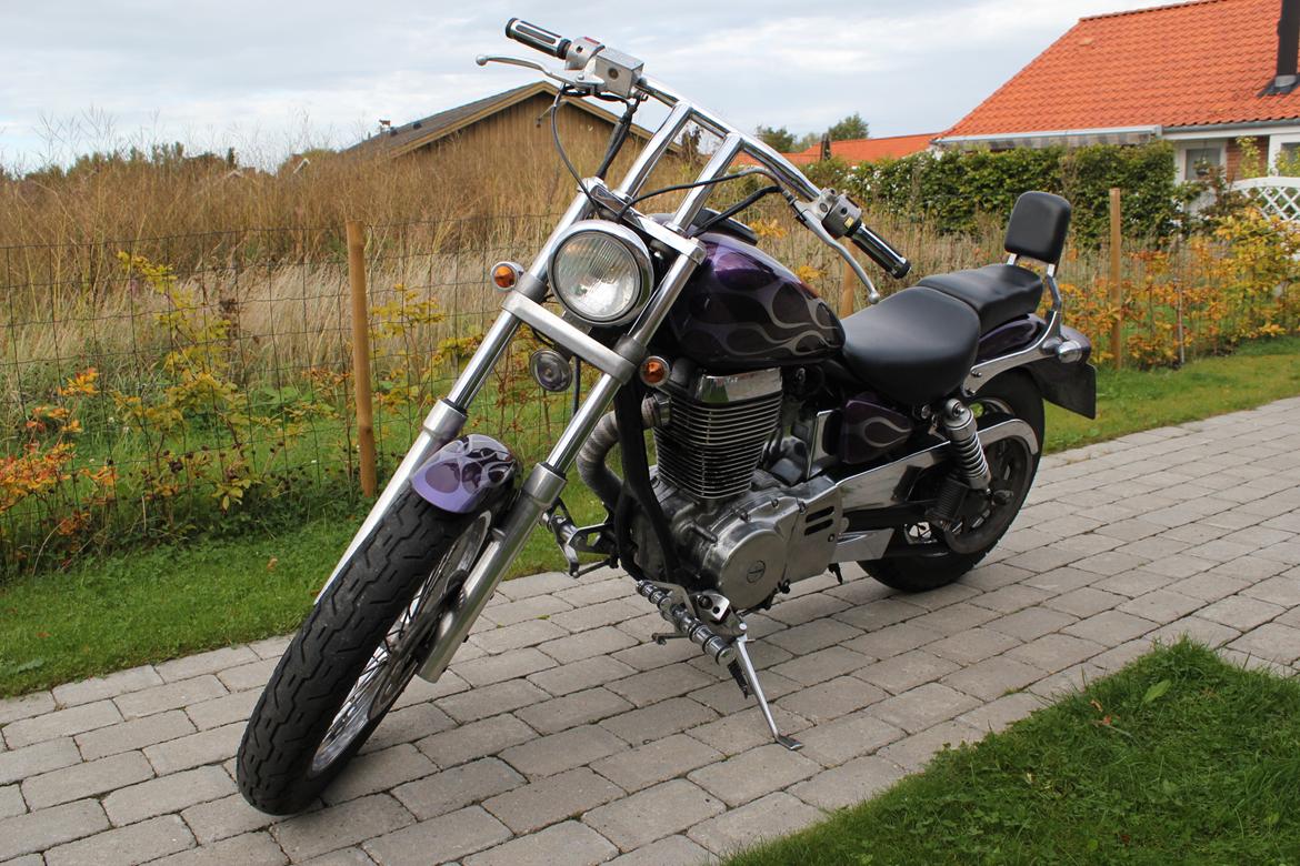 Suzuki LS650 savage billede 3