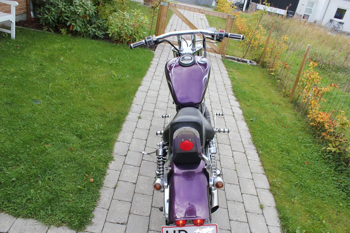 Suzuki LS650 savage billede 4